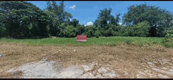 ขายที่ดินสวย ราคาดี 590 ตรว. ในจ.ลพบุรี