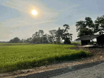 ขายที่ดินสวยยกแปลง ติดถนน 2 ด้าน แปลงมุม ถมแล้ว ทำเลดีมาก