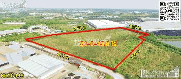 ที่ 21 ไร่ โดดเด่นเห็นง่ายหน้ากว้าง 174 ม. ใช้รถเทเลอร์สะดวก ใกล้เส้นบ้านแพ้วและพระราม 2 เพียง 2.5 ล้าน/ไร่