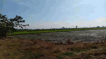 ขายที่ดิน 2 แปลงติดกัน ที่สวย ทำเลทอง ใกล้แหล่งชุมชน อำเภอวังน้อย จ.พระนครศรีอยุธยา