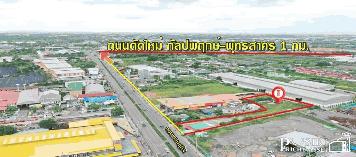 ที่ถมแล้ว ทำเลสุดปัง ระดับ 5 ดาว เนื้อที่ 983.1 ตารางวา ติดถนนเศรษฐกิจ ใกล้ถนนตัดใหม่ กัลปพฤกษ์ ราคาคุ้มค่า 