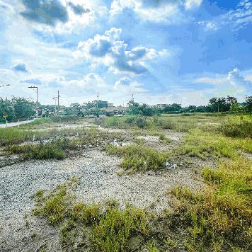 ขายที่ดินชลบุรี ขายที่ดินอมตะนคร ขายที่ดินพานทอง