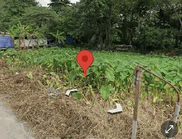 ‼️ขายถูกที่ดินเปล่า 89 ตร.ว บางแวก146 จรัญสนิทวงศ์13 กทม ราคา3ล้านพร้อมโอนค่ะ