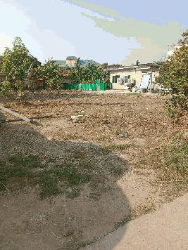 ขายถูกที่ดินถมแล้ว 200 ตร.ว พหลโยธิน55 บางเขน กทม. 