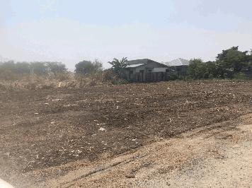 ขายถูก ที่สวย 1 ไร่ ทำเลดีดอนเมือง เกลี่ยพื้นที่ล้อมรั้วแล้ว