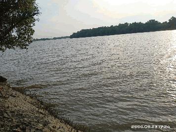 ขายที่ดินติดแม่น้ำบางปะกง 9 ไร่เศษ (ถมแล้วบางส่วน) ต.ท่าพลับ อ.บ้านโพธิ์ จ.ฉะเชิงเทรา