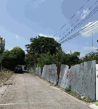 ขายด่วน ขายที่ดิน 48.40 และ 53.50 ตรว. สุขุมวิท101/1 วชิรธรรมสาธิต 53 (มี2แปลนติดกัน แยกซื้อได้)