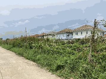 ขายที่ดินหน้ากว้าง  ลำลูกกาคลอง 4 ซอยไสวประชาราษฎร์ 35 ปทุมธานี 300 ตารางวา 5.4 ล้านบาท 