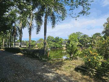 ขายด่วน ที่ดิน เนื้อที่ 3-2-69 ไร่ ขายรวมกิจการรีสอร์ท ใกล้สวนนงนุชพัทยา จ.ชลบุรี 