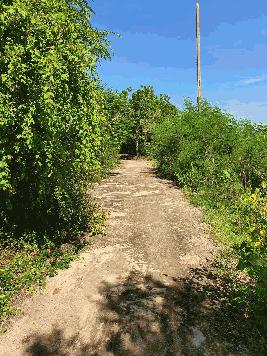 ขายที่ดินเปล่า ติดถนนเพชรเกษม ต.ศิลาลอย อ.สามร้อยยอด ประจวบคีรีขันธ์