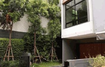 ให้เช่าทาวน์โฮม3.5ชั้นหลังมุม Arden Pattanakarn พัฒนาการ20 ย่านพัฒนาการ อ่อนนุช เขตสวนหลวง 