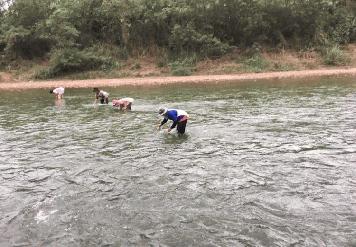 ขายที่ดินติดลำน้ำน่านวิวภูคา อำเภอทุ่งช้าง 3งาน ถ้าน้ำท่วมคืนเงิน จ. น่าน