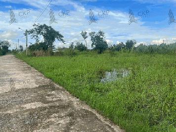 ขาย ที่ดินเปล่าคลอง2 รังสิต-นครนายก ใกล้สนามไดร์ฟกอล์ฟ ขนาด 202 ตร.วา. ต.ประชาธิปัตย์ อ.ธัญบุรี ปทุมธานี