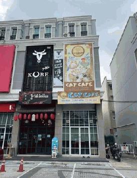  ขายอาคารโฮมออฟฟิศ 4.5 ชั้น โครงการ เดอะมาสเตอร์ BTS อุดมสุข บางนา 