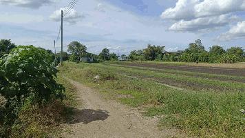 พื้นที่ดิน ที่ดิน บางเดื่อ ใกล้ถนนราชพฤกษ์ ตัดใหม่ ปทุมธานี ไม่ไกลจาก ใกล้ถนนราชพฤกษ์ ตัดใหม่ ปทุมธานี 8000000 บาท  พื้นที่ 11 RAI 1 Ngan 76 SQ.WA DEAL!!