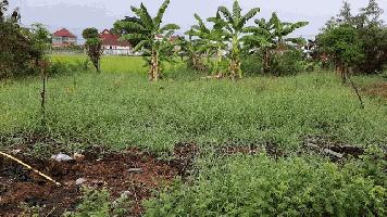 พื้นที่ดิน ที่ดิน ลำโพ 2800000 B.  40 Square Wah 1 งาน 0 ไร่ ใกล้ 1. องค์การบริหารส่วนตำบลลำโพ 2. ที่ว่าารอำเภอบางบัวทอง ทำเลทอง