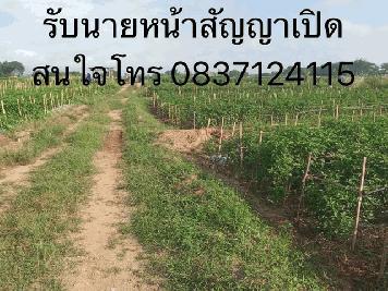 ที่ติดแม่น้ำ ต.ศรีภูมิ อ.ท่าวังผา ขายเช่า1000บาท/ไร่/ปี เมืองน่าน ติดแหล่งน้ำสำคัญ น้ำน่านสายหลักเมืองเหนือ น้ำใสไหลรินตลอดปี  ตำบลศรีภูมิ อ.ท่าวังผา จ.น่าน 850000 บาท สวยมากวิวน้ำน่านฟ้าใสอากาศดี