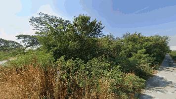 ที่ดิน 157 ตร.ว. ขายด่วน 700000 บาท  ติดคลอง ติดถนนสองด้าน ราษฏร์นิยม มีน้ำ ไฟ พร้อม