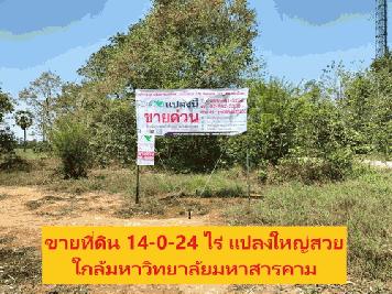 ขายที่ดินเปล่า 14-0-24 ไร่ทำเลดี อยู่ในละแวกชุมชน หน้ากว้าง 110เมตร ลึก 218 เมตร