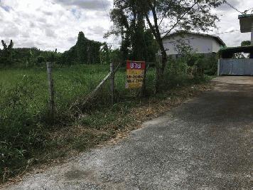 ขายที่ดิน เฉลิมพระเกียรติ ร.9 ซ.61  เนื้อที่ 198 ตรว. ประเวศ กทม.   ZT256