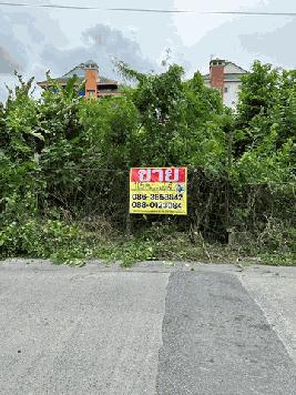 ขายที่ดิน 105 ตารางวา  ซอยลาดพร้าว87 แยก 32  กรุงเทพฯ  ZT231 