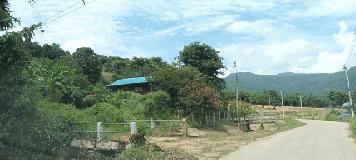 ขายด่วน ที่ดินสวนผลไม้ ติดริมแม่น้ำวาง พร้อมบ้านไม้ 1 หลัง บรรยากาศร่มรื่น อำเภอแม่วาง จังหวัดเชียงใหม่