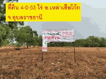 ขายที่ดินเปล่า 4-0-53.9 ไร่ หน้ากว้าง 145 เมตร ลึก 82 เมตร เหมาะแก่การทำที่อยู่อาศัย