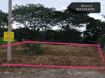 ขายที่ดิน 94 ตารางวา ในหมู่บ้าน ใกล้เมืองเชียงใหม่ ใกล้เซนทรัลเฟสเชียงใหม่ สำหรับสร้างบ้าน