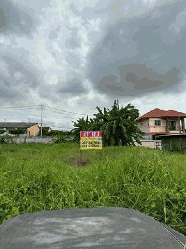 ขายที่ดิน 219 ตารางวา ซอยจีระมะกร ถนนพหลโยธิน54/1  บางเขน กรุงเทพ  ZT237 