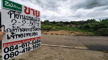 พื้นที่ดิน - ขนาด 50 ตรว. 2 NGAN 2 Rai  ไม่ไกลจาก ทัสสตาร์ทรีสอท น้ำตกแม่กลาง พร้อมเข้าอยู่