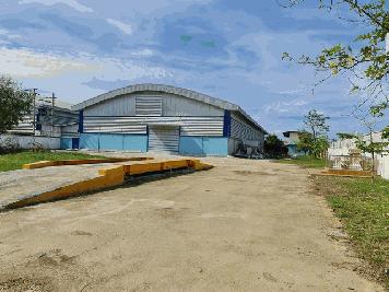 ขายโรงงานรีไซเคิลพลาสติก 3 ไร่ 2 งาน 2,335 ตรม. ประชาอุทิศ 90 บางขุนเทียนชายทะเล25  ใกล้​ ม.พระจอมเกล้าธนบุรี   