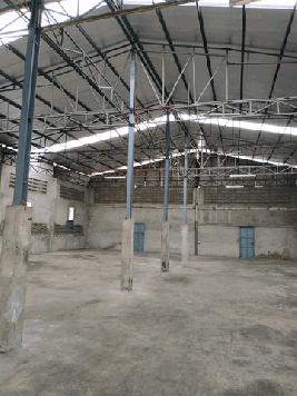 ขายโกดังพร้อมผู้เช่า เนื้อที่ 214 ตารางวา สุขุมวิท ซอยพึ่งมี 29 พระโขนง กรุงเทพ