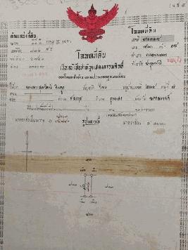 ที่ดินเปล่าคลองหลวงติดถนนลาดยาง ไฟฟ้า ประปา ครบ เหมาะแก่การสร้าง  
