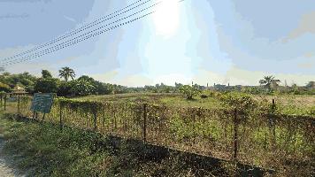 ขาย SALE พื้นที่ดิน - area 558 SQ.WA 19000000 บ. ใกล้ โรงพยาบาลวัดไร่ขิง วัดไร่ขิง บ้านวังพรม BIG SALE