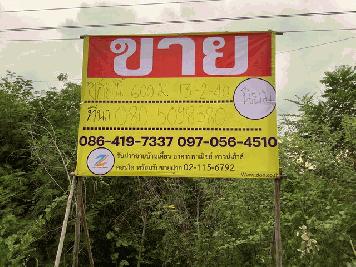 ขายที่นา 13-2-40 อ.หนองมะโมง ต.หนองมะโมง จ.ชัยนาท    ZK174