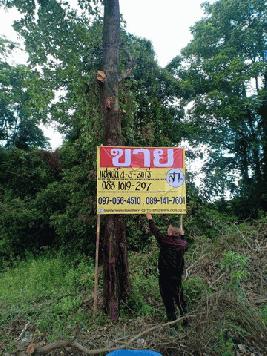 ขายด่วนที่ดินเปล่า ราคาถูก 4-3-30  ไร่ ติดถนนสายพิษณุโลก-อุตรดิตถ์ อ.วัดโบสถ์ จ.พิษณุโลก  ZK182