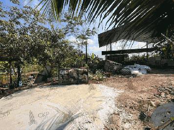 ขาย ที่ดินเปล่า ถมแล้ว ขนาด 262 ตร.วา ต.เชียงรากน้อย อ.บางปะอิน พระนครศรีอยุธยา