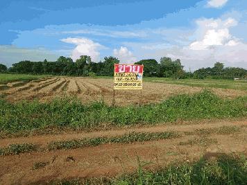 ขายด่วนที่ดินเปล่า 3-0-73  ไร่ ล้อมรอบด้วยหอพัก  รีสอร์ท ต.ท่าโพธิ์ อ.เมือง จ.พิษณุโลก  ZK202