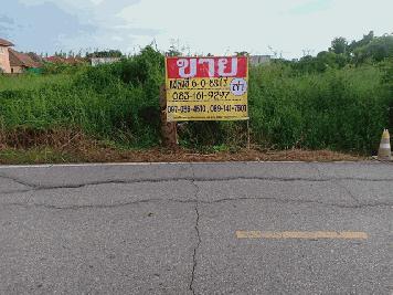 ขายด่วนที่ดินทำเลดี 6-0-88  ไร่ ล้อมรอบด้วยบ้านจัดสรร  ต.ในเมือง อ.เมือง จ.พิษณุโลก  ZK206