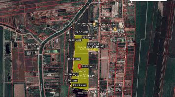 ขายถูก!! ที่ดิน 38 ไร่มีทางเข้าถนนประชาสำราญ หนองจอก ราคานี้หาไม่ได้แล้ว