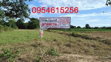 ขายที่ดินสวย 3-0-14 ไร่ ทำเลดี หน้ากว้าง 28 เมตร ลึก 158 เมตร อยู่ใกล้แหล่งชุมชน เหมาะทำการเกษตร หรือซื้อไว้เก็งกำไรในอนาคตได้
