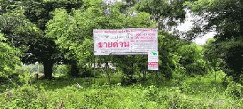 ขายที่ดิน 2 ไร่ หน้ากว้าง 30 เมตร ลึก 111 เมตร ภายในที่ดินปลูกต้นยางนา และ ต้นพะยูงไว้ และขุดบ่อเลี้ยงปลาไว้ 1 บ่อ ทำเลดี อยู่ใกล้ชุมชน