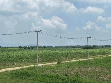 ขายที่ดินแปลงงาม         :                    สระบุรี