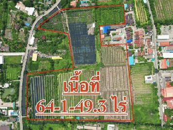 ขายที่ดินเปล่า   64-1-49.3ไร่  หนองแขม กรุงเทพ  ZW267