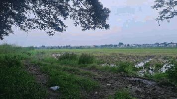 ขายที่ดิน ทำเลดี แขวงสามวาตะวันออก เขตคลองสามวา กรุงเทพมหานคร 