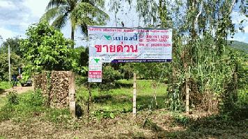 ที่ดินสวนลำไย 7-1-76 ไร่ หน้ากว้าง 117 เมตร ลึก 146 เมตร ด้านหน้าติดถนนคอนกรีต มีสระน้ำเนื้อที่ 1 ไร่ ลึก 8 เมตร