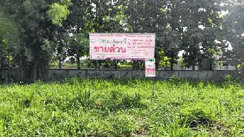 ขายที่ดินเปล่า 219 ตรว. (2 แปลงรวม) ทำเลดี ติดถนนคอนกรีต ห่างทางหลวงชนบทหมายเลข 5036 เพียง 240 เมตร หน้ากว้าง 40 เมตร ลึก 25 เมตร