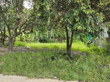 ขายที่ดิน 97 ตารางวา เขตชุมชน ต.บ้านโพธิ์ อ.เมือง จ.นครราชสีมา   ZE539