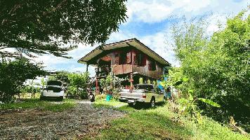 ที่ดิน - ใกล้แหล่งอำนวยความสะดวก
