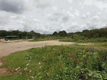 ขายที่ดินเปล่า ริมทะเลหาดแสงจันทร์ ขนาด 3-1-0.4 ไร่ อ.เมือง จ.ระยอง 14.4 ล้าน/ไร่ ค่าโอนคนละครึ่ง